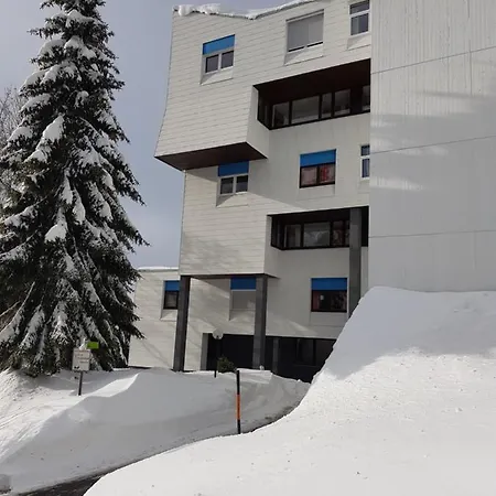 Graf'S Apartment Sankt Englmar Exterior photo